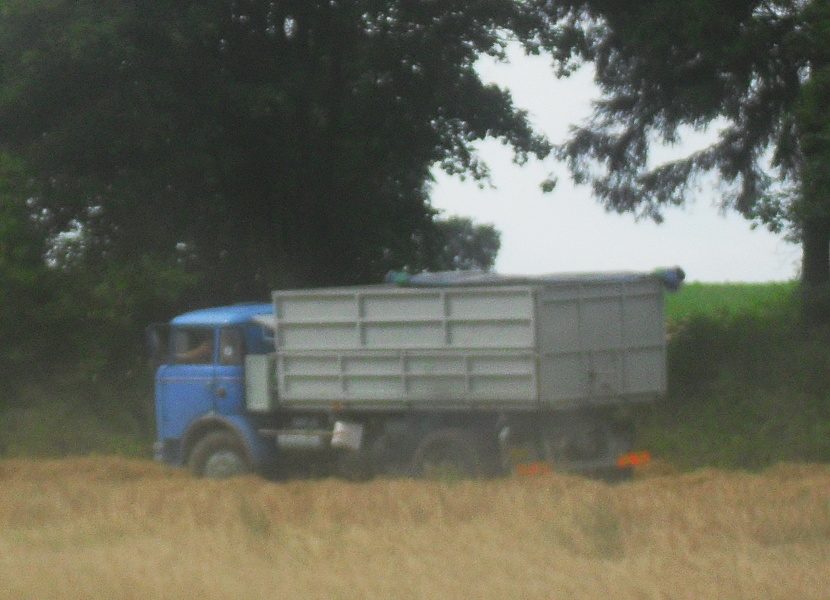 SDC12745