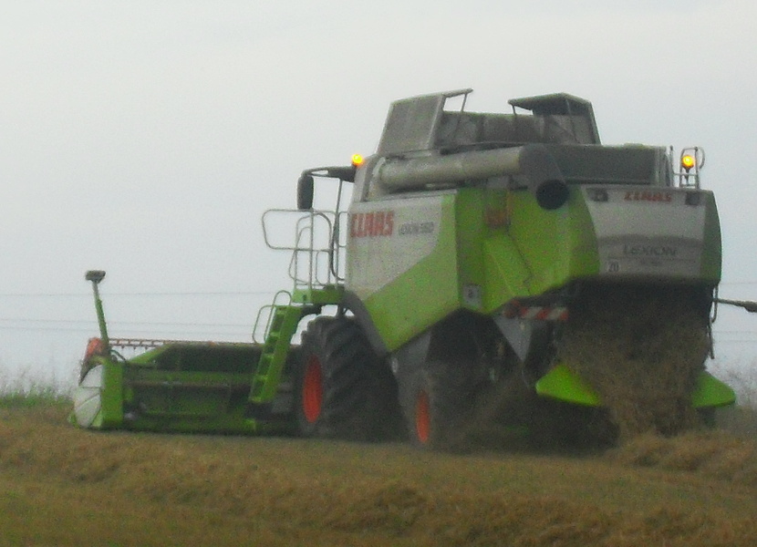 SDC12723