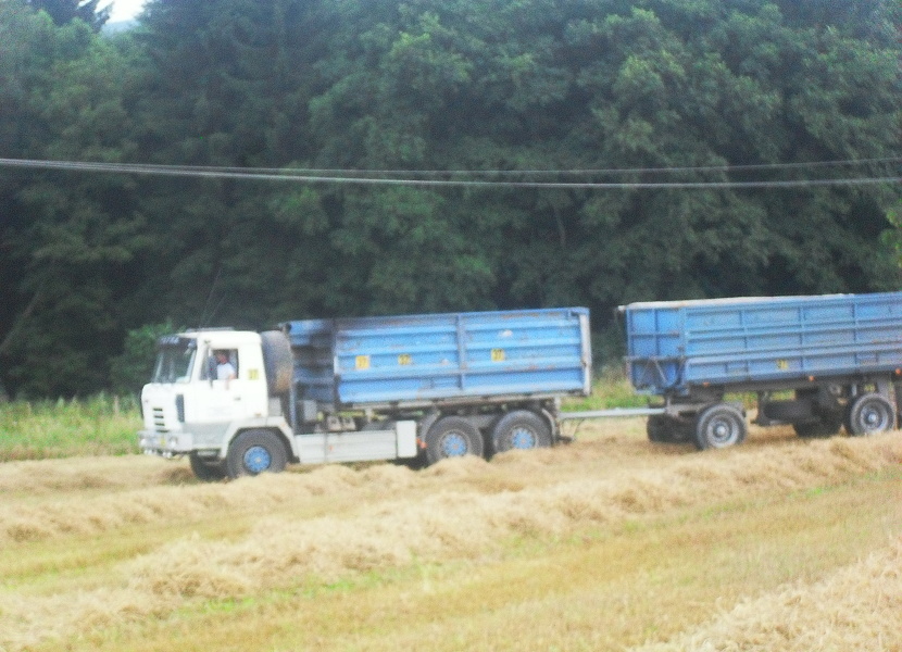 SDC12733
